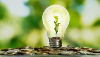 An Image Of A Light Bulb Standing Upright With A Small Plant Inside, Atop A Pile Of Coins.